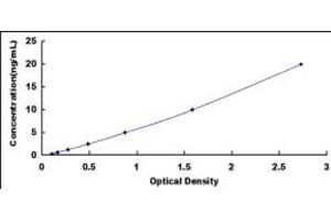 Typical standard curve (PDIA2 ELISA Kit)