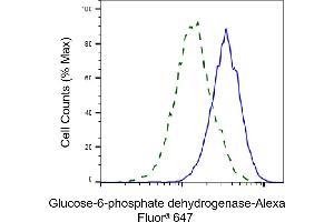 Validation of Glucose-6-phosphate dehydrogenase knockdown using flow cytometry.