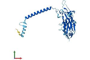 AlphaFold protein structure predicition of Mouse Recombinant Atp1b2 Protein, UniprotID P14231