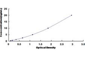 PTPN11 ELISA Kit