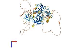 INTU Protein (AA 1-942) (His tag)