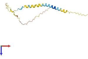 BEX1 Protein (AA 1-128) (His tag)