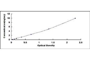 Typical standard curve (Caspase 9 ELISA Kit)