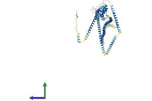 Protein Structure (PS) image for Hook Homolog 2 (HOOK2) (AA 1-719) protein (His tag) (ABIN7554123)