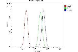 Flow Cytometry analysis of A549 cells using anti-AKT2 antibody (ABIN6719267).