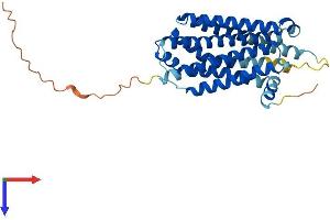 MC3R Protein (AA 1-323) (His tag)