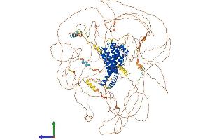 Protein Structure (PS) image for AF4/FMR2 Family, Member 2 (AFF2) (AA 1-1311) protein (His tag) (ABIN7552009)