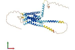 Protein Structure (PS) image for G Protein-Coupled Receptor 22 (GPR22) (AA 1-433) protein (His tag) (ABIN7548159)