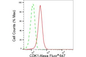 Flow cytometric analysis of CDK1 expression in HepG2 cells using CDK1 antibody (ABIN7798206), 1:2,000).