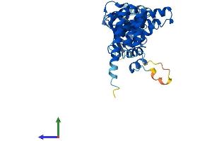 Protein Structure (PS) image for Aryl Hydrocarbon Receptor Interacting Protein (AIP) (AA 1-330) protein (His tag) (ABIN7562226)