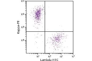 CD19+ human B-lymphocytes were stained with Goat Anti-Human Kappa-PE and Goat F(ab’)2 Anti-Human Lambda, Mouse ads-FITC.