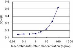 Sandwich ELISA detection sensitivity ranging from 3 ng/mL to 100 ng/mL.