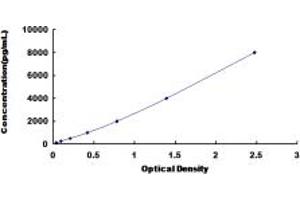 Annexin A2 ELISA Kit