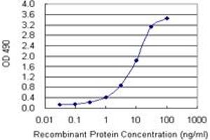 ELISA image for KIT (Human) Matched Antibody Pair (ABIN1341650)