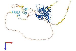 REXO4 Protein (AA 1-422) (His tag)