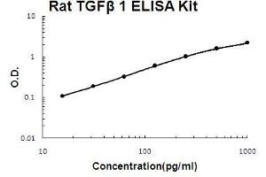 Rat TGF beta 1 PicoKine ELISA Kit standard curve