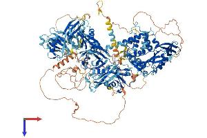 USP47 Protein (AA 1-1375) (His tag)