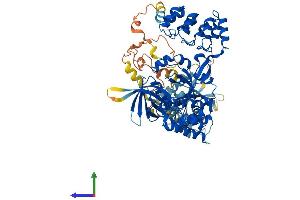 Protein Structure (PS) image for KRIT1, Ankyrin Repeat Containing (KRIT1) (AA 1-736) protein (His tag) (ABIN7554400)