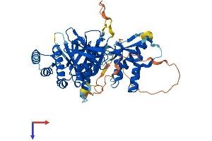SNX17 Protein (AA 1-470) (His tag)