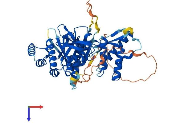 SNX17 Protein (AA 1-470) (His tag)