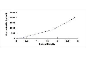 Typical standard curve (KISS1 ELISA Kit)