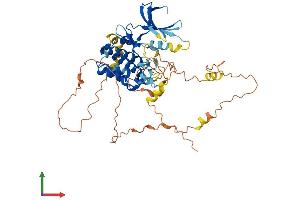 Protein Structure (PS) image for NIMA related kinase 3 (NEK3) (AA 1-511) protein (His tag) (ABIN7556183)