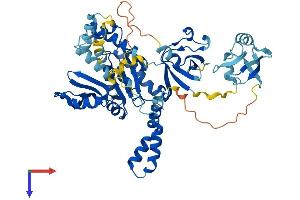 MPP6 Protein (AA 1-540) (His tag)