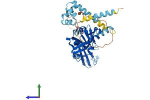 Protein Structure (PS) image for DNA-Damage Inducible 1 Homolog 2 (DDI2) (AA 1-399) protein (His tag) (ABIN7561898)