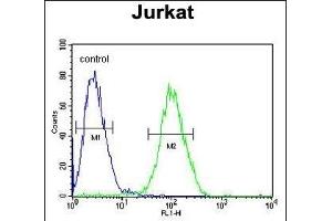 RPS3A Antibody (C-term) (ABIN651720 and ABIN2840374) flow cytometric analysis of Jurkat cells (right histogram) compared to a negative control cell (left histogram).