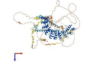 Espin Protein (ESPN) (AA 1-871) (His tag)