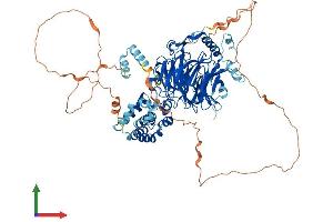 Protein Structure (PS) image for TAF5 RNA Polymerase II, TATA Box Binding Protein (TBP)-Associated Factor, 100kDa (TAF5) (AA 1-800) protein (His tag) (ABIN7555731)