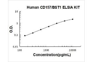 Bone Marrow Stromal Cell Antigen 1 (BST1) ELISA Kit