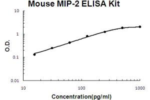 Mouse MIP-2 Accusignal ELISA Kit Mouse MIP-2 AccuSignal ELISA Kit standard curve. (CXCL2 ELISA Kit)