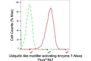 Flow cytometric analysis of Ubiquitin like modifier activating enzyme 7 expression in HepG2 cells using Ubiquitin like modifier activating enzyme 7 antibody (ABIN7800759), 1:2,000). (Rekombinanter UBA7 Antikörper)