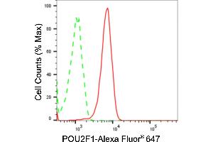 Flow cytometric analysis of POU2F1 expression in Hela cells using POU2F1 antibody (ABIN7799889), 1:2,000). (Rekombinanter POU2F1 Antikörper)