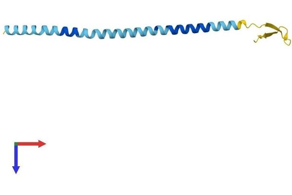 SLITRK2 Protein (AA 1-111) (His tag)