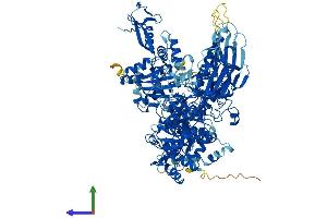 AlphaFold protein structure predicition of Mouse Recombinant Polr2b Protein, UniprotID Q8CFI7