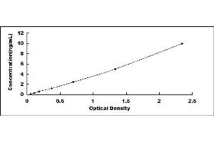 Typical standard curve (TIMM8A/DDP ELISA Kit)