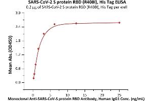 Immobilized SARS-CoV-2 S protein RBD (R408I), His Tag (ABIN6952633) at 2 μg/mL (100 μL/well) can bind Monoclonal Anti-SARS-CoV-S protein RBD Antibody, Human IgG1 with a linear range of 0.
