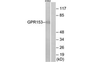 Western Blotting (WB) image for anti-G Protein-Coupled Receptor 153 (GPR153) (AA 195-244) antibody (ABIN2890794) (GPR153 Antikörper  (AA 195-244))