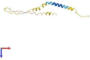 BEX2 Protein (AA 1-129) (His tag)