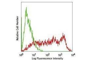 Flow Cytometry (FACS) image for anti-Thiosulfate Sulfurtransferase 4 (SSEA-4) antibody (Alexa Fluor 488) (ABIN2657580) (SSEA-4 Antikörper  (Alexa Fluor 488))