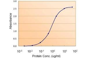 AP20111PU-N PAX4 antibody (1. (PAX4 Antikörper  (Internal Region))
