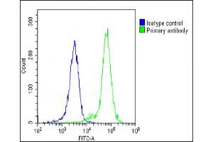 Flow Cytometry (FACS) image for anti-Hemoglobin, epsilon 1 (HBe1) (AA 55-83) antibody (ABIN1881403)