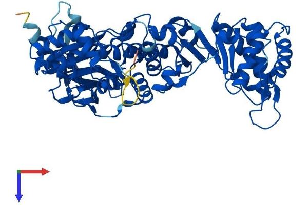 NAPRT1 Protein (AA 1-538) (His tag)