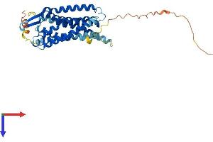Angiotensin II Type-1 Receptor Protein (AA 1-359) (His tag)