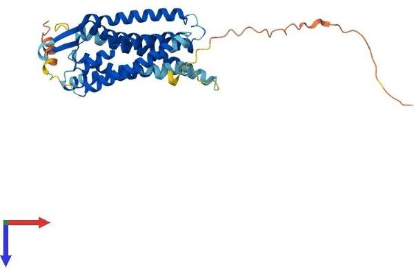 Angiotensin II Type-1 Receptor Protein (AA 1-359) (His tag)