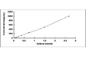 Typical standard curve