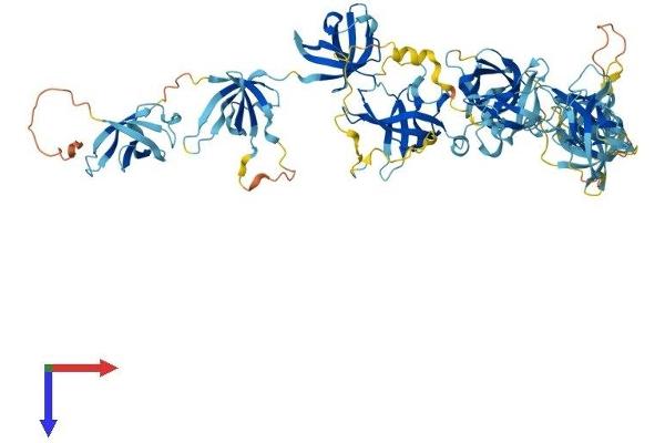 CDSE1 Protein (AA 1-798) (His tag)