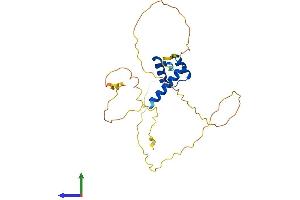 Protein Structure (PS) image for Distal-Less Homeobox Protein 1 (DLX1) (AA 1-255) protein (His tag) (ABIN7547117)